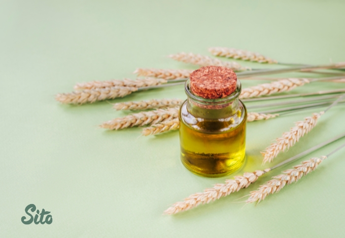خواص روغن جوانه گندم براي سينه 