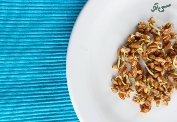 روغن جوانه گندم برای چی خوبه